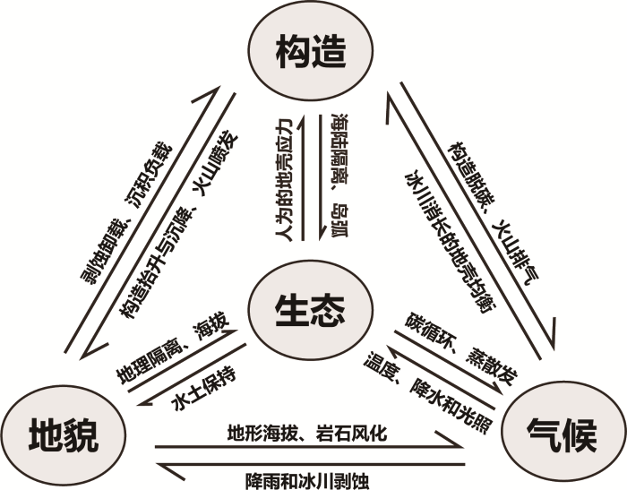 主题专辑