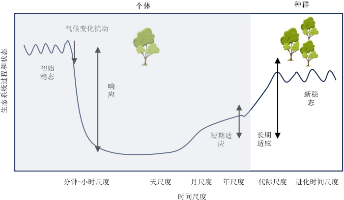 主题专辑